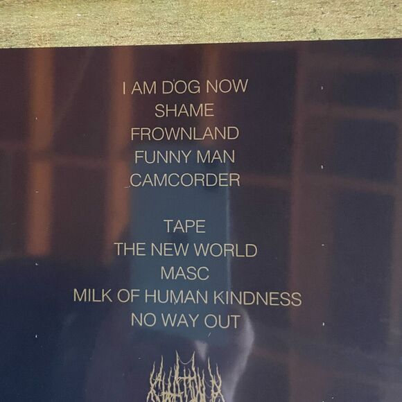 Chat Pile Cool World NEW Limited NEON GREEN Vinyl Record HEAVY METAL Doom - Picture 4 of 4